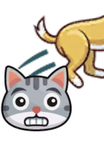 Cat + Dog: Skittish / Jumpy