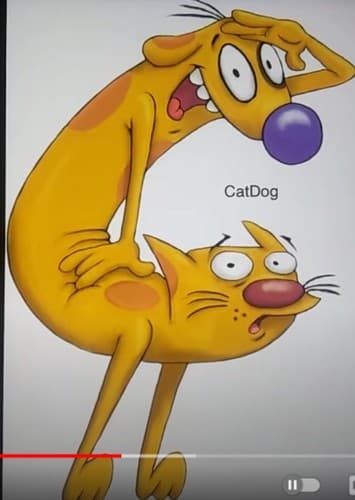 CatDog