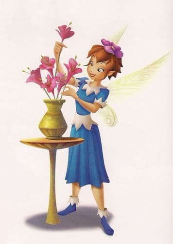 Celebration Setup Talent