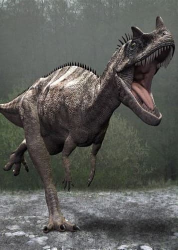 Ceratosaurus