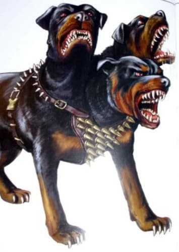 Cerberus head 1