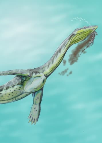 Ceresiosaurus