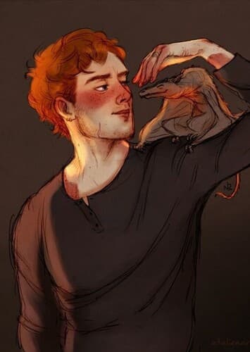 Charlie Weasley