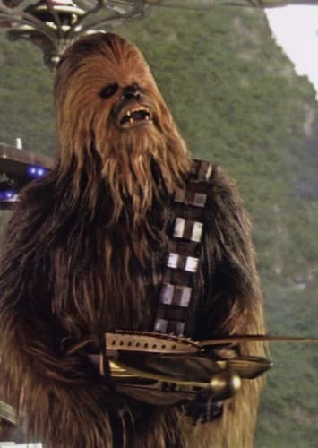 Chewbacca
