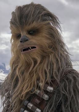 Chewbacca