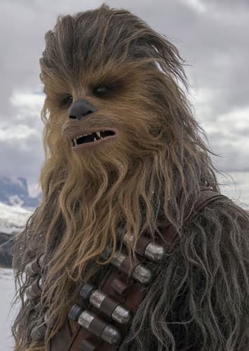 Chewbacca