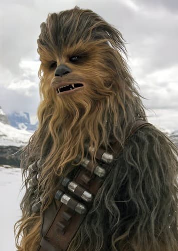 Chewbacca