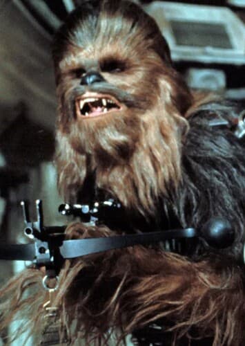 Chewbacca