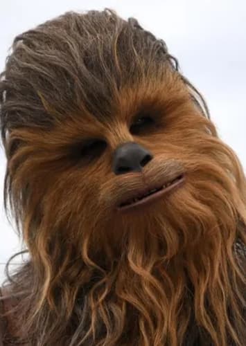 Chewbacca