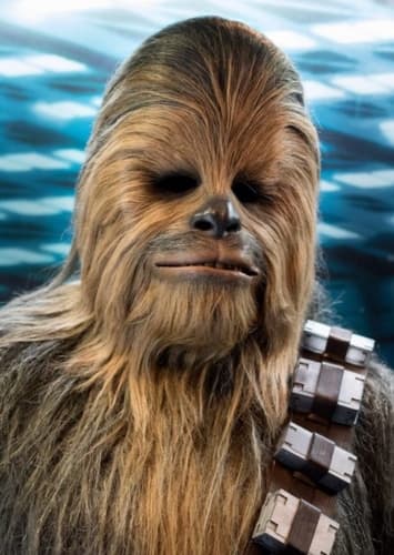 Chewbacca