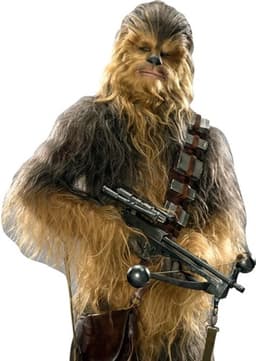 Chewbacca