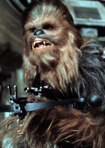 Chewbacca