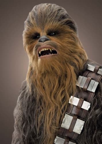 Chewbacca