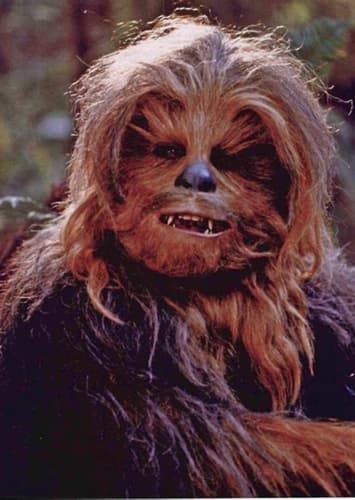 Chewbacca