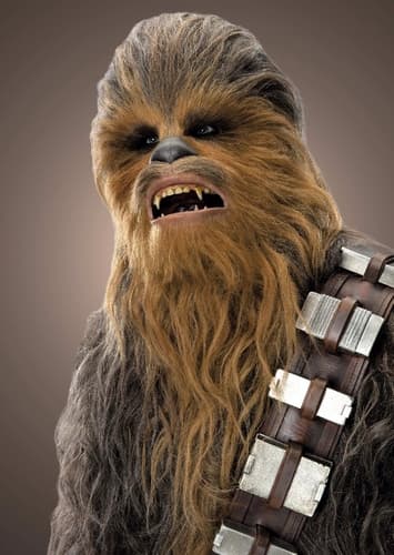 Chewbacca
