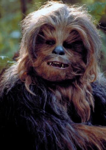 Chewbacca