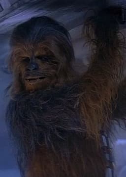 Chewbacca