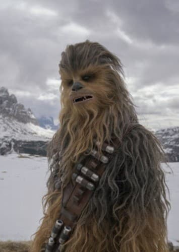 Chewbacca