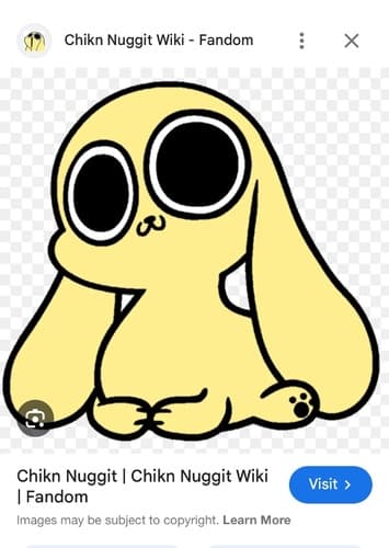 Chikn nuggit