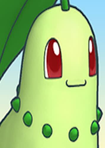Chikorita