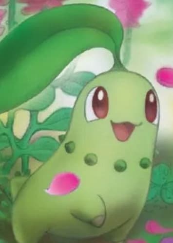 Chikorita / チコリータ