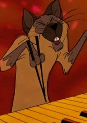 Shun Gon the Chinese Cat