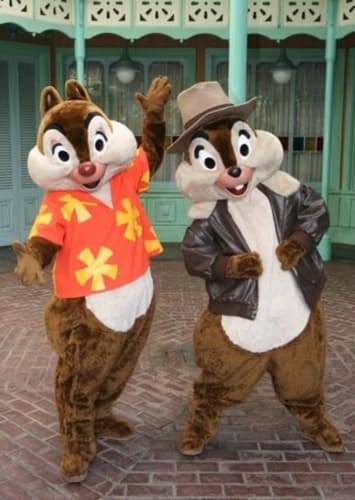Chip 'N Dale