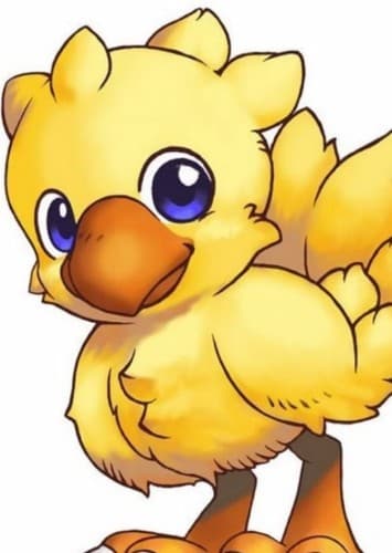 Chocobo