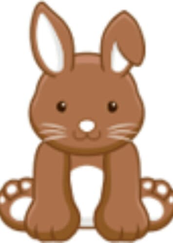 Chocolate Bunny