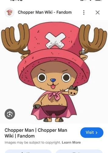 Chopper man