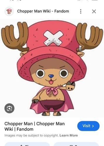Chopperman