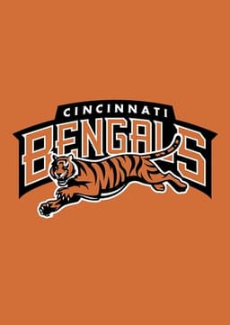 Cincinnati Bengals 🐅