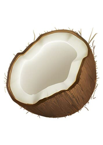 Coconut