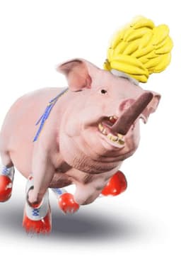 Cody, A Pig