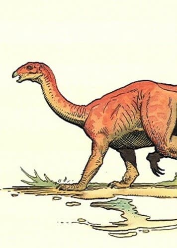 Coloradisaurus