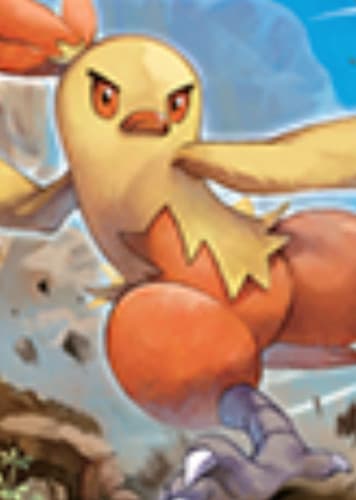 Combusken / ワカシャモ