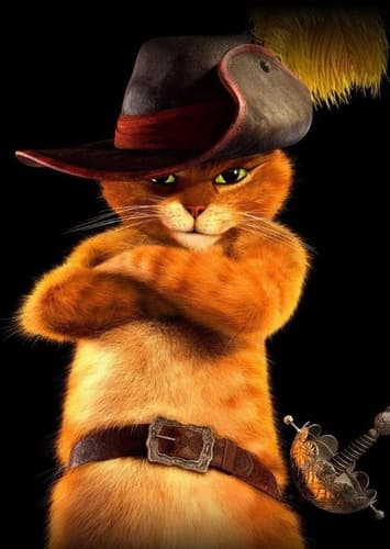 Commander Puss in Boots