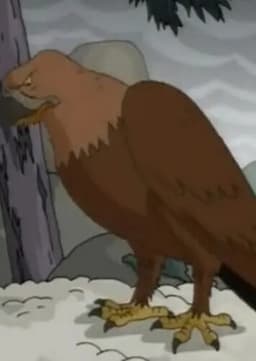 Conal the Golden Eagle
