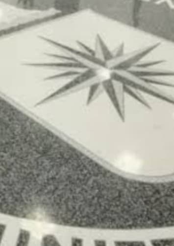 Continuing this Story