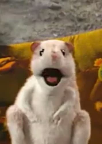 Cool the Kangaroo Rat