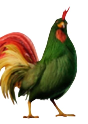 Cornelius "Corny" Rooster