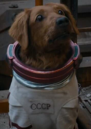 Cosmo (MCU)