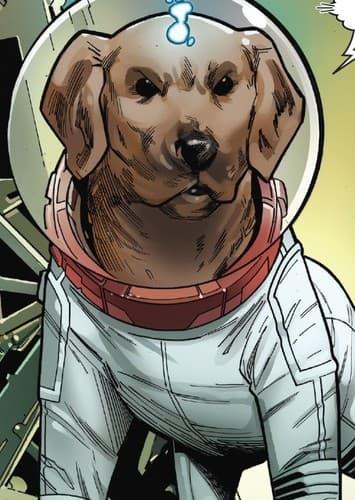 Cosmo the Spacedog