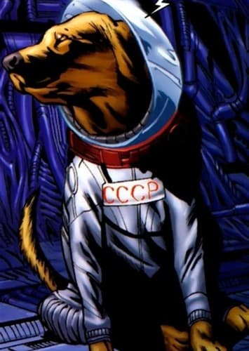 Cosmo the spacedog