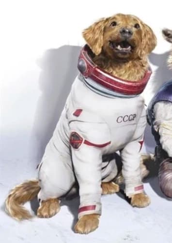 Cosmo the Spacedog