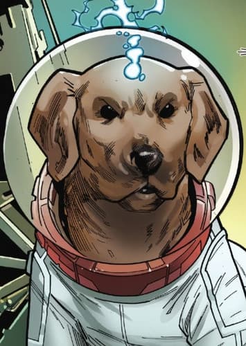 Cosmo the Spacedog