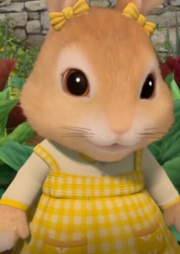 Cotton - Tail Rabbit