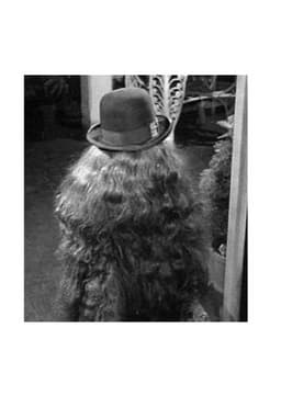 Cousin Itt