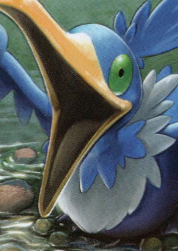 Cramorant / ウッウ