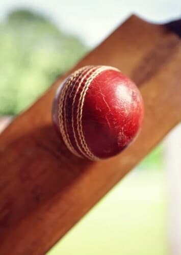 Cricket
